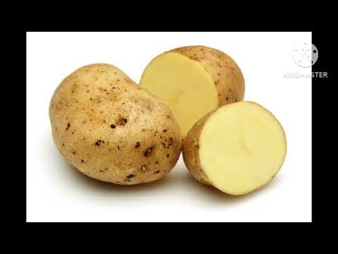 ятрышник лекарственное растение