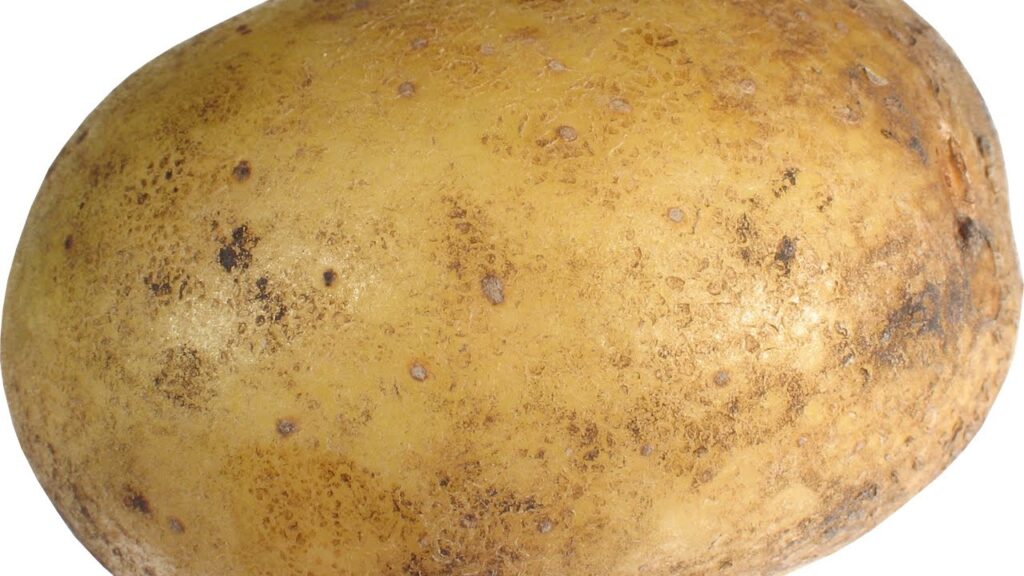 ли ли картофель